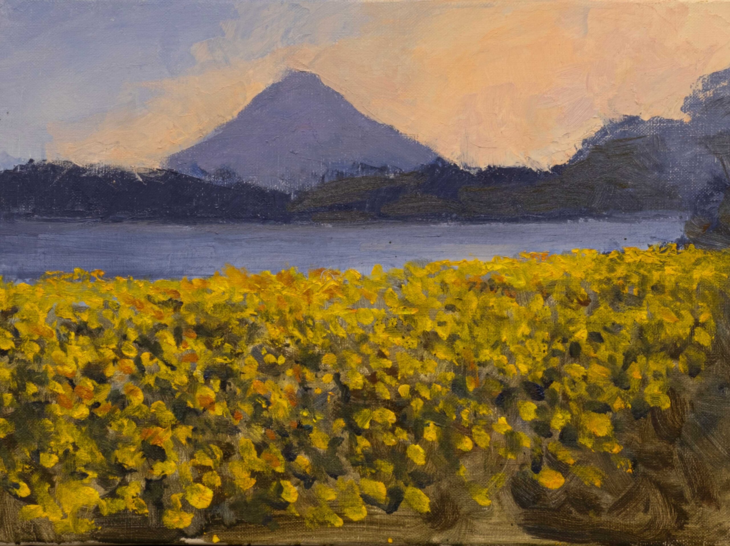 油絵、開聞岳 開聞岳 池田湖から - Painting Life 茂山寛 Official Site